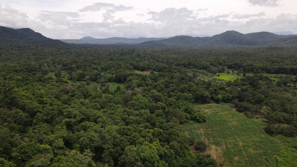 Bình Thuận họp báo trả lời vì sao phải lấy hơn 600 ha rừng làm hồ Ka Pét? - Ảnh 7.