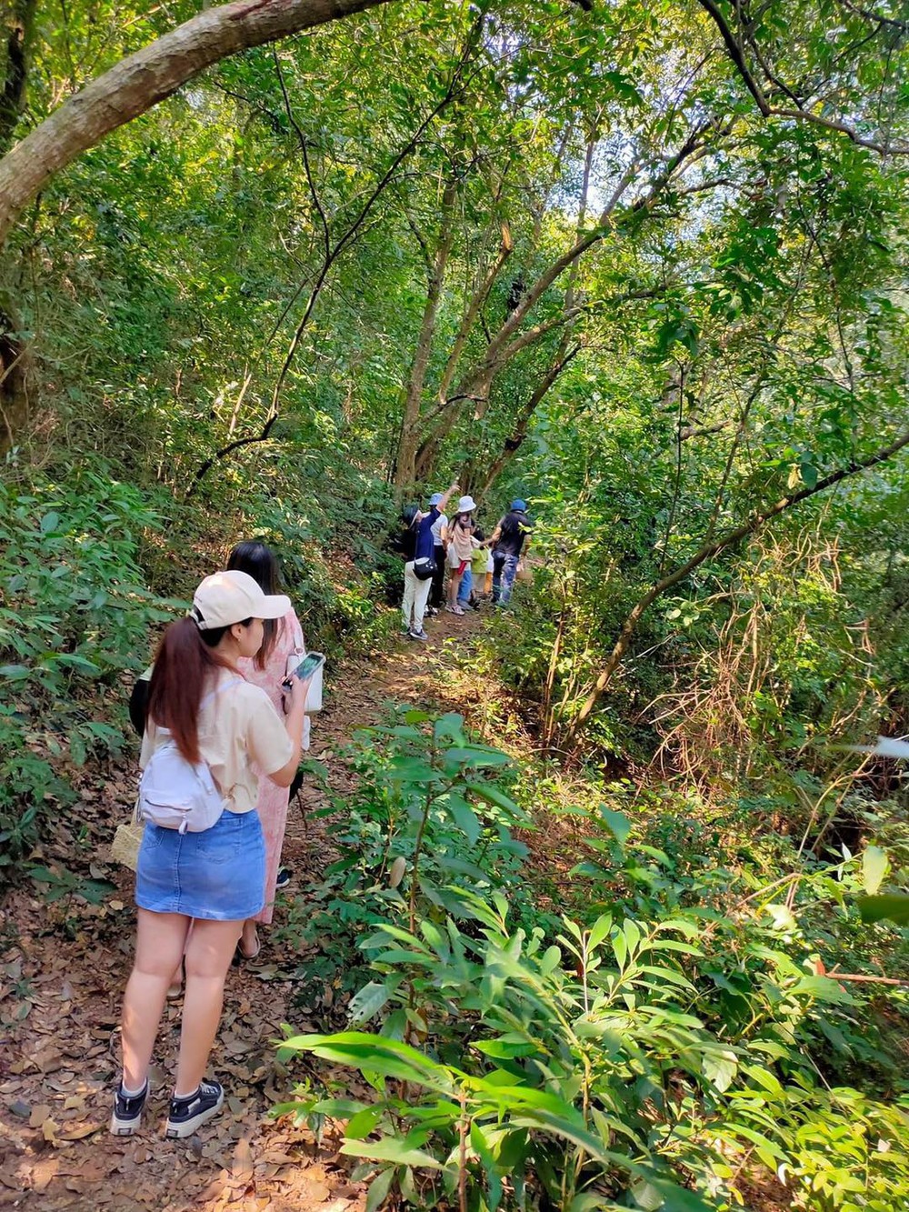 Mùa thu vào rừng thu hoạch hạt dẻ ở các địa điểm cách Hà Nội nhiều nhất 5 tiếng chạy xe