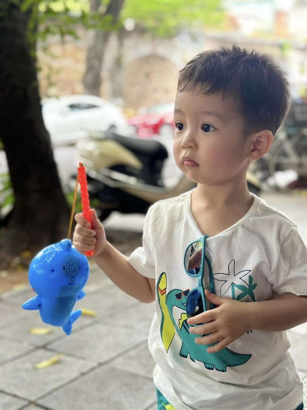 Hình ảnh