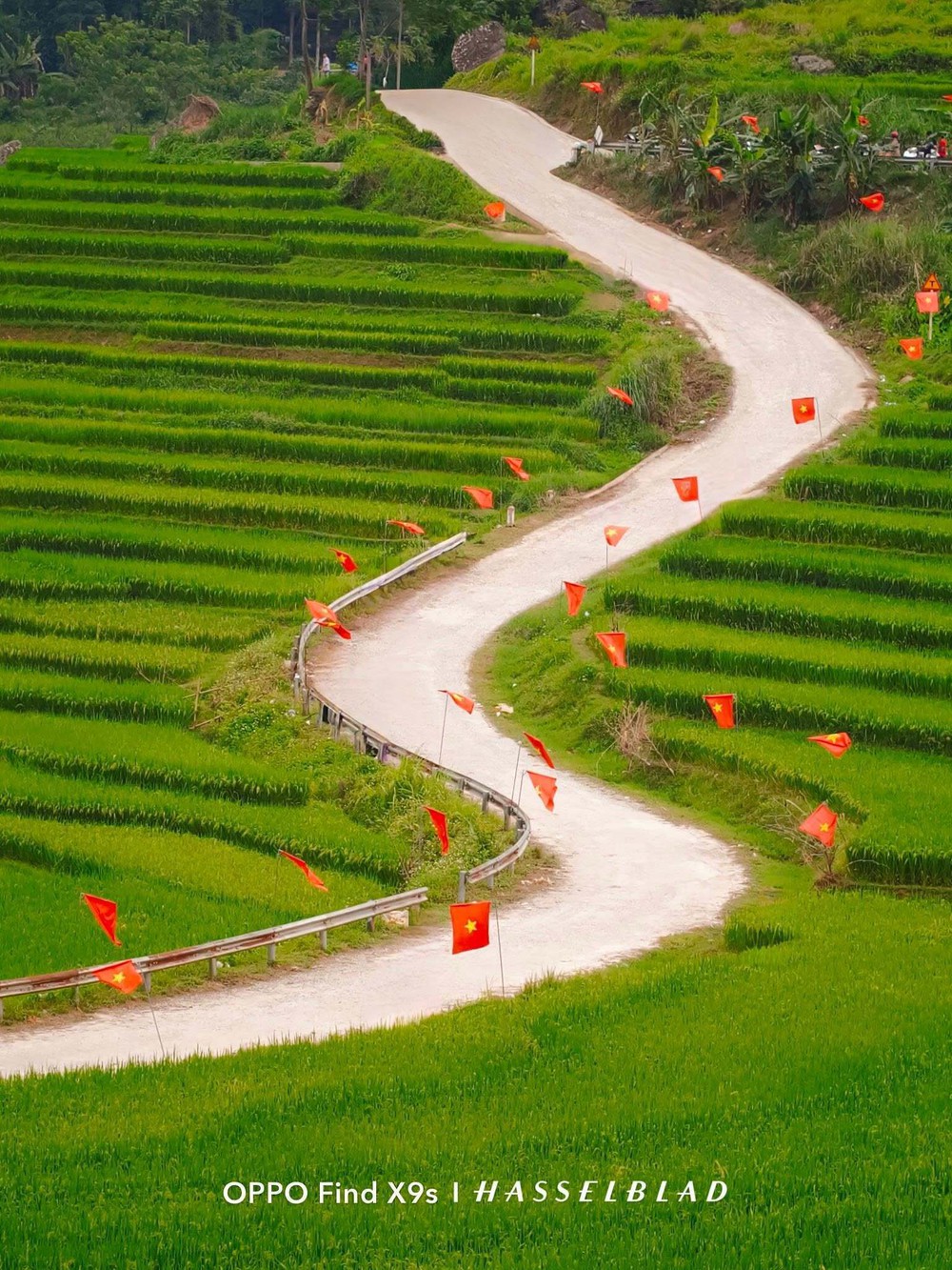 Chàng trai xứ Quảng 'truyền nhiệt' yêu nước qua những khung hình đẹp về Việt Nam - Ảnh 13.