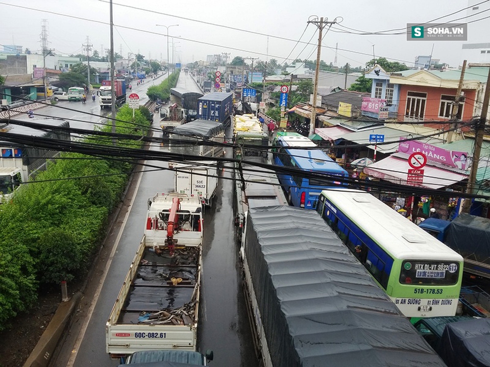 Nữ sinh lớp 9 tử vong sau khi bị chó cắn vào ngón tay 