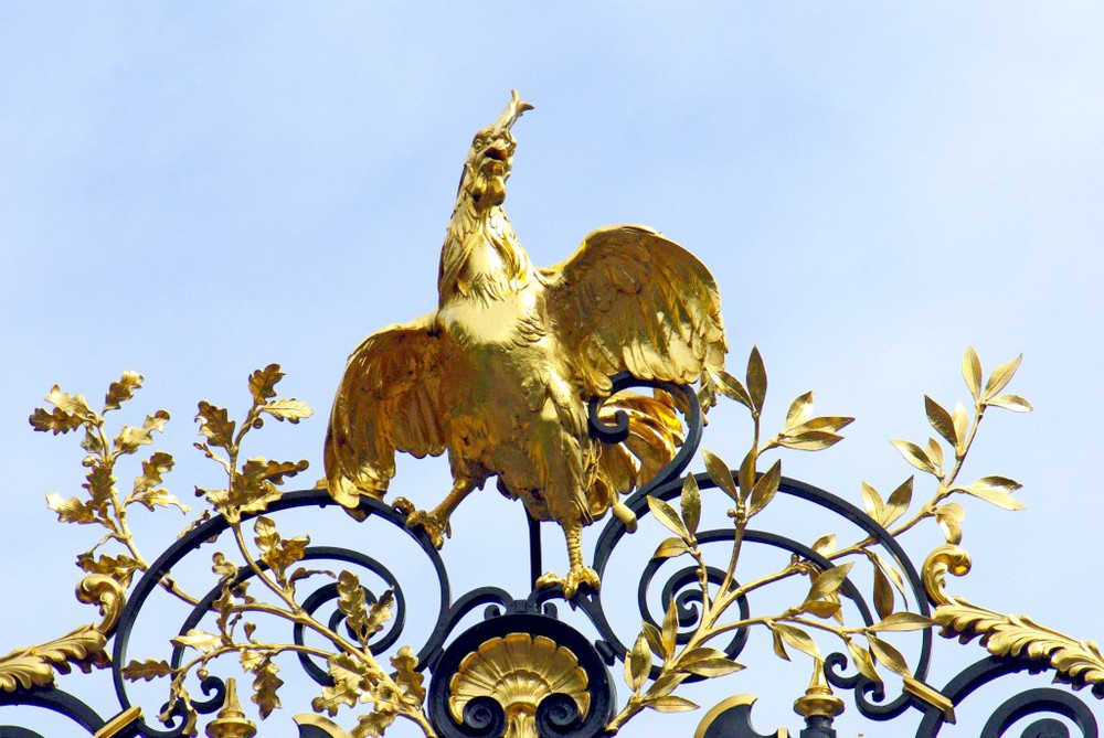 Truy tìm nguồn gốc gà trống Gô-loa, biểu tượng của nước Pháp - Ảnh 3.