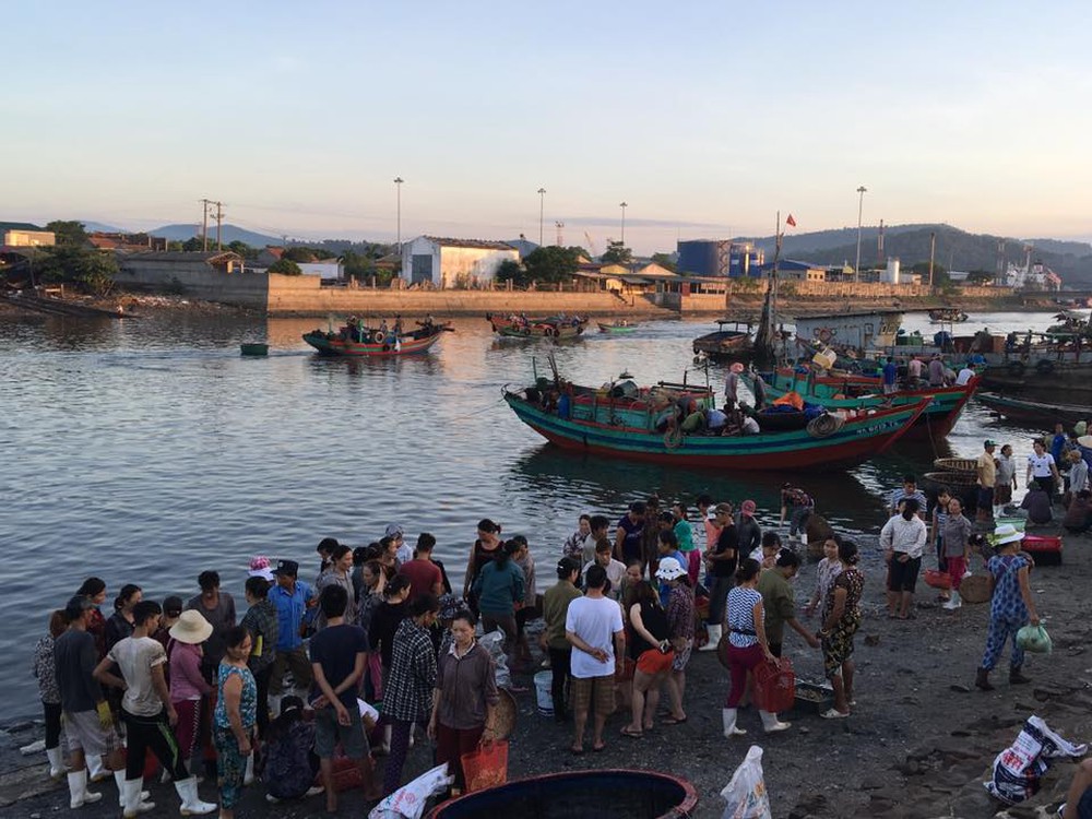 Thông tin về nghi vấn nợ ngư dân tiền hỗ trợ cá chết ở Quảng Trị - Ảnh 1.