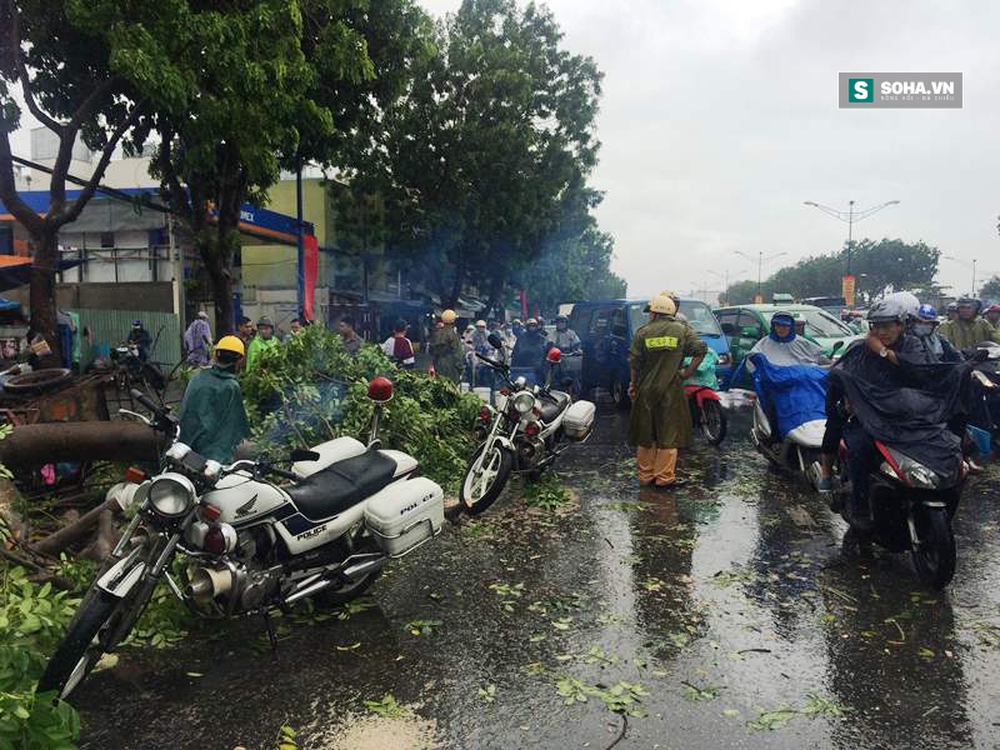 Hàng chục người giải cứu tài xế xe ba gác bị cây đè trúng ở TPHCM - Ảnh 3.