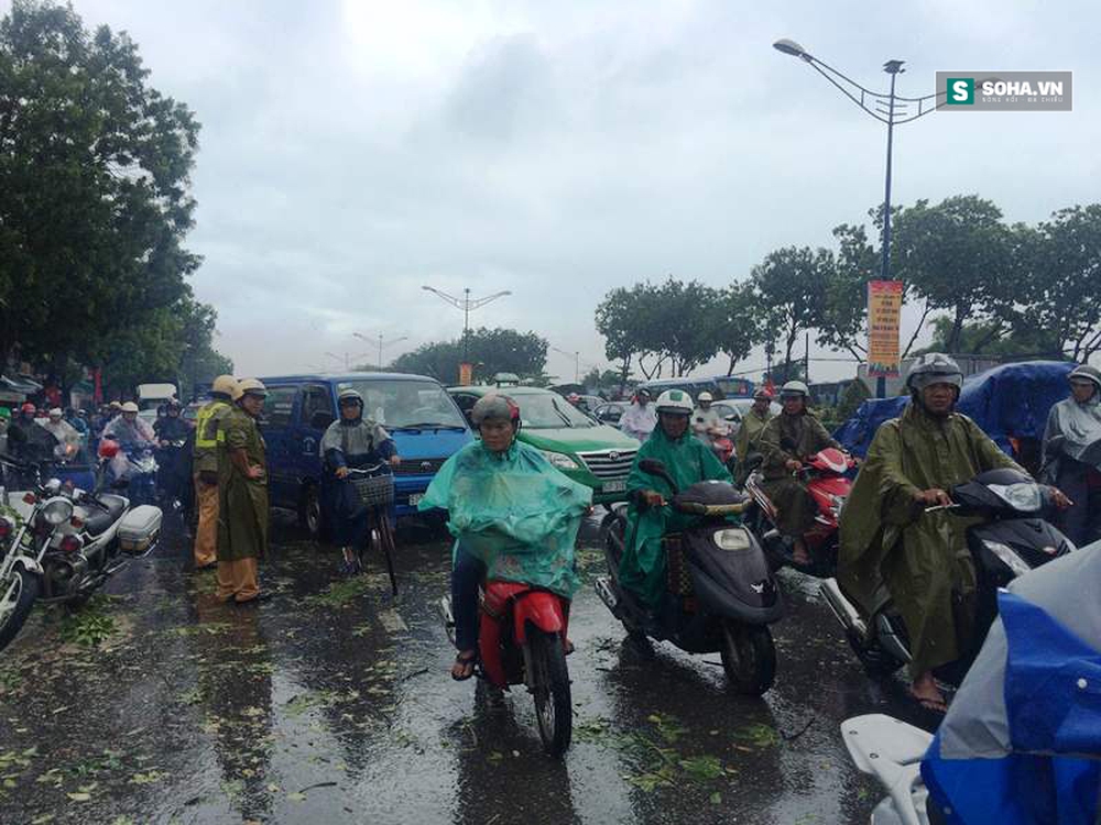 Hàng chục người giải cứu tài xế xe ba gác bị cây đè trúng ở TPHCM - Ảnh 2.