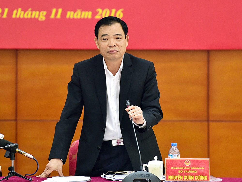 Tổ công tác của Thủ tướng ‘truy’ gay gắt Tổng cục Thủy sản - Ảnh 1.