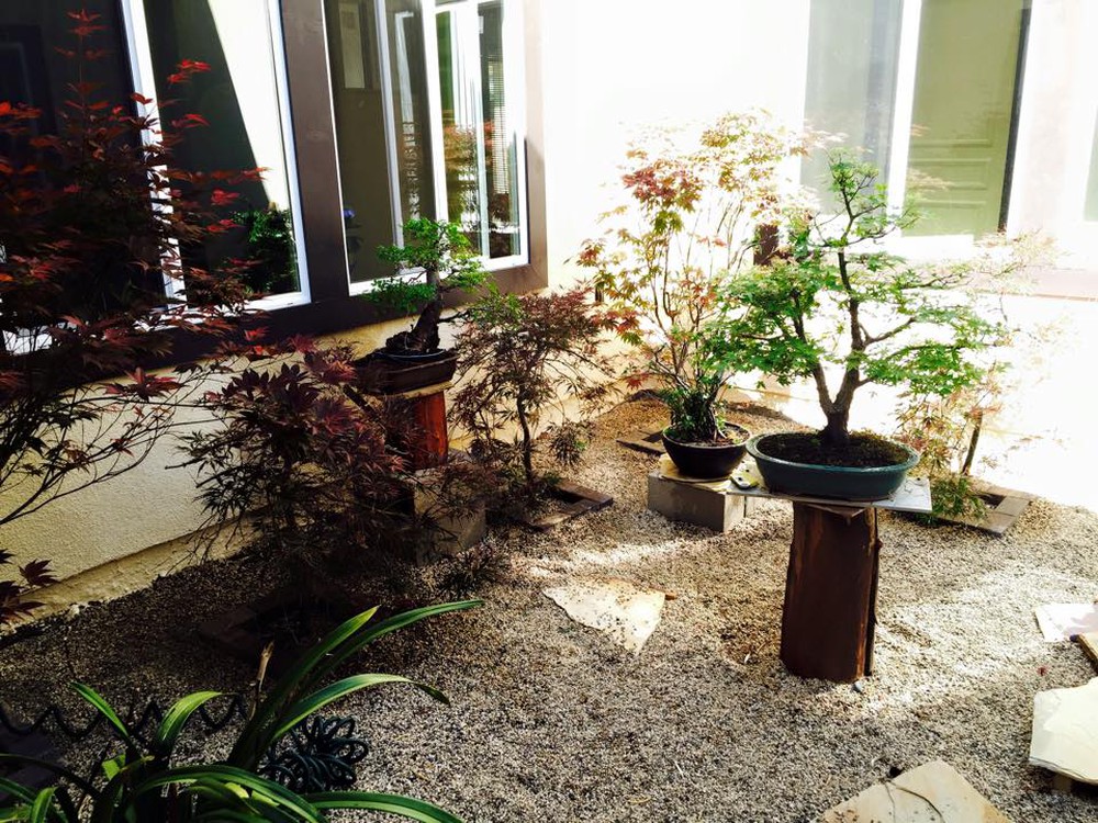 Cuộc sống thư thái trong ngôi nhà vườn của Bằng Kiều tại Mỹ - Ảnh 13.