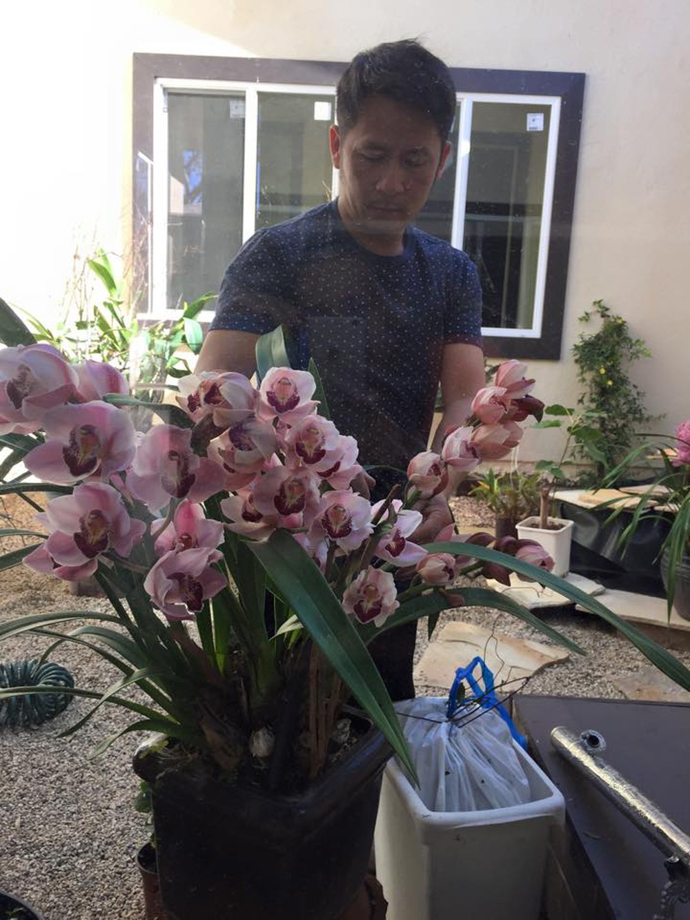 Cuộc sống thư thái trong ngôi nhà vườn của Bằng Kiều tại Mỹ - Ảnh 25.