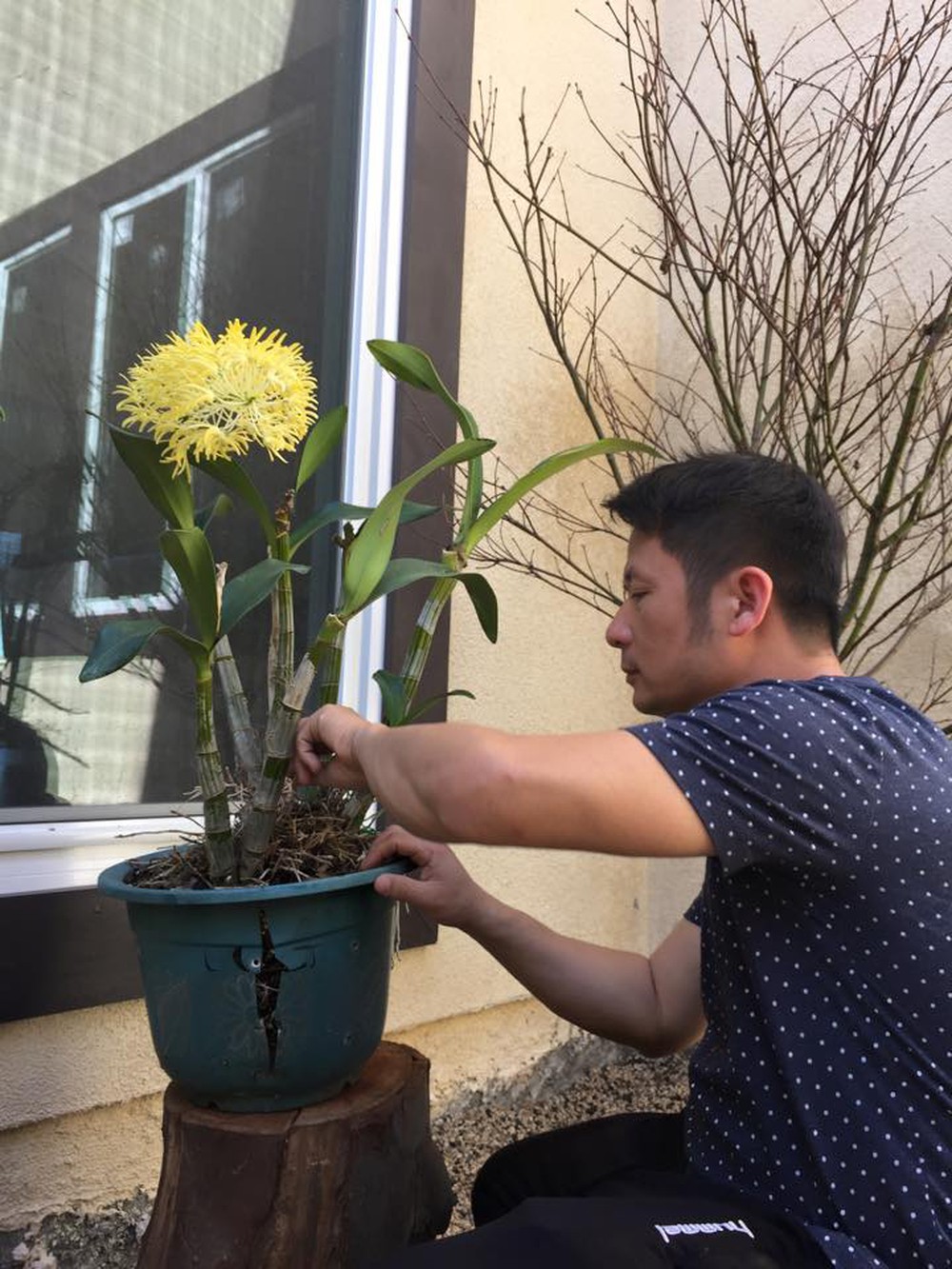 Cuộc sống thư thái trong ngôi nhà vườn của Bằng Kiều tại Mỹ - Ảnh 26.