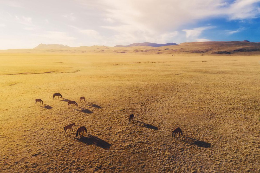 Bộ ảnh tuyệt vời của National Geographic: Khi thế giới hoang dã hóa mình thành kiệt tác - Ảnh 10.