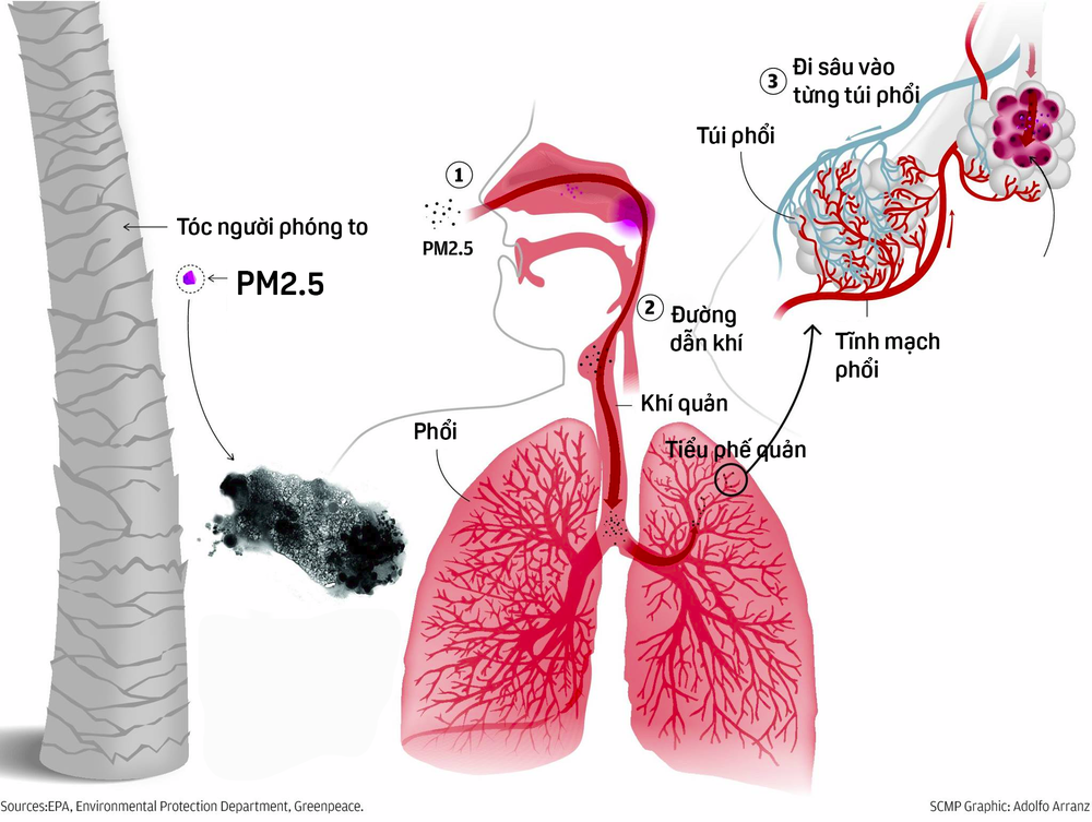 Cơ chế xâm nhập vào máu gây ung thư của bụi siêu độc PM2.5 chứa trong không khí Hà Nội - Ảnh 6.