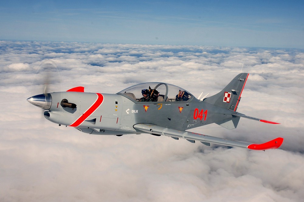 Bọ cạp đến từ Ba Lan - Máy bay cường kích PZL-230 Skorpion - Ảnh 1.