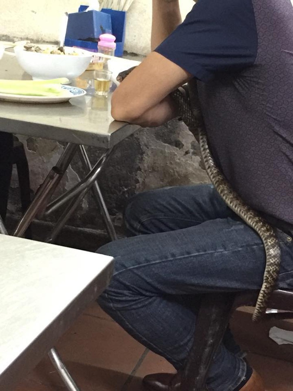 Người đàn ông mang rắn đi nhậu khiến khách hàng vừa sợ vừa tò mò - Ảnh 2.