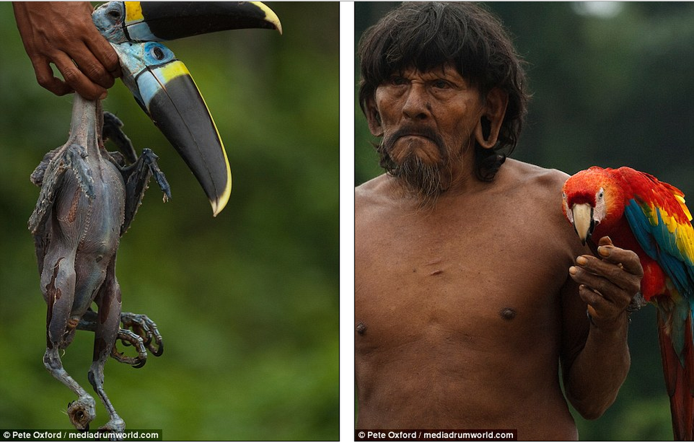 Cuộc sống của bộ lạc săn khỉ ở Amazone - Ảnh 9.