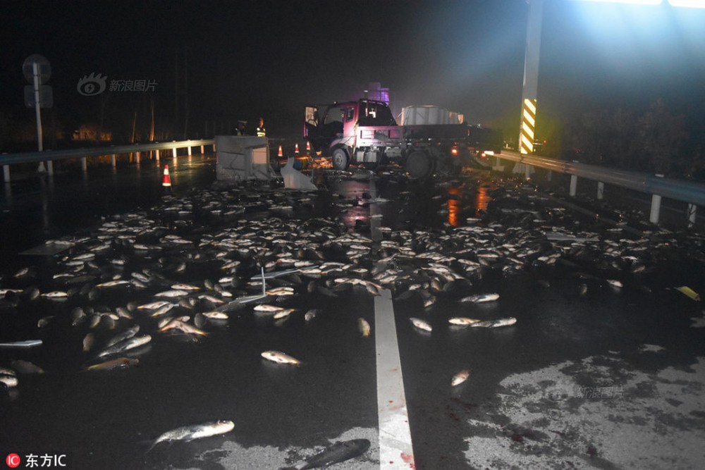 2 tấn cá bất ngờ bị hất văng xuống mặt đường, mất 300 triệu đồng lái xe không kịp trở tay - Ảnh 2.