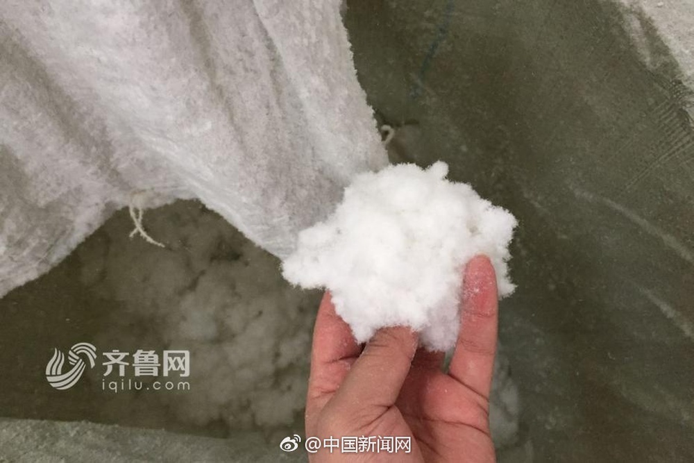 Tã giấy người lớn sản xuất từ phế liệu bốc mùi, mang mầm bệnh hại người tiêu dùng - Ảnh 6.