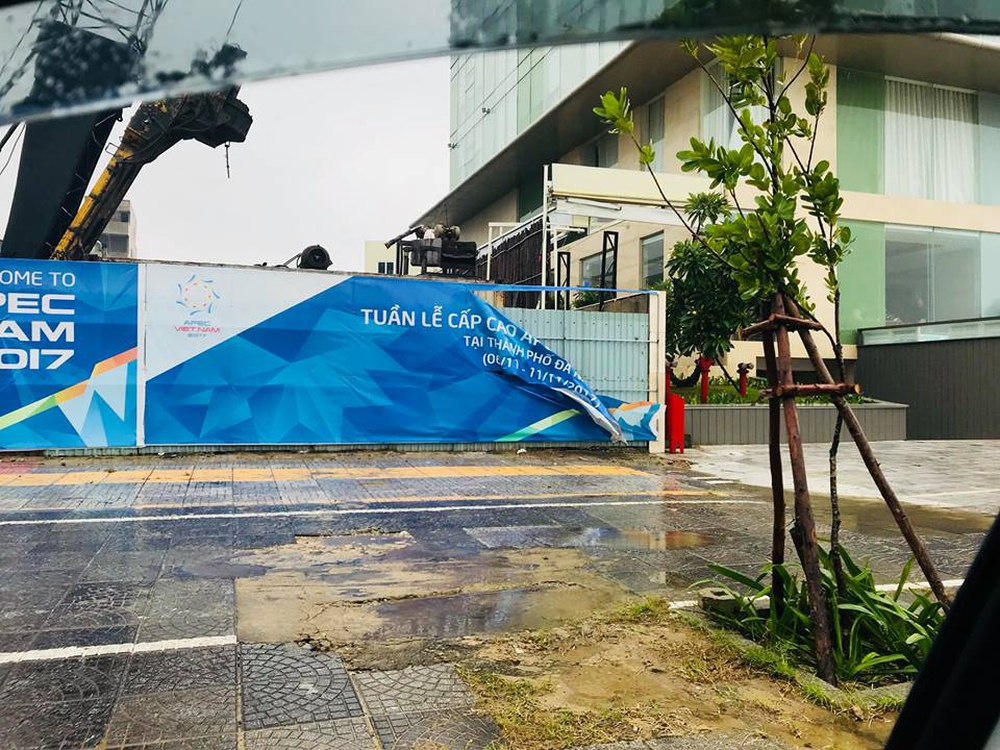 Cây xanh bật gốc, đè ô tô trên đường phố Đà Nẵng - Ảnh 2.