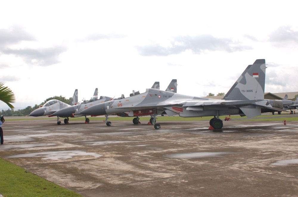 Quốc gia X mua 2 trung đoàn Su-30SM bằng gần 50 triệu thùng dầu thô - Ảnh 2.
