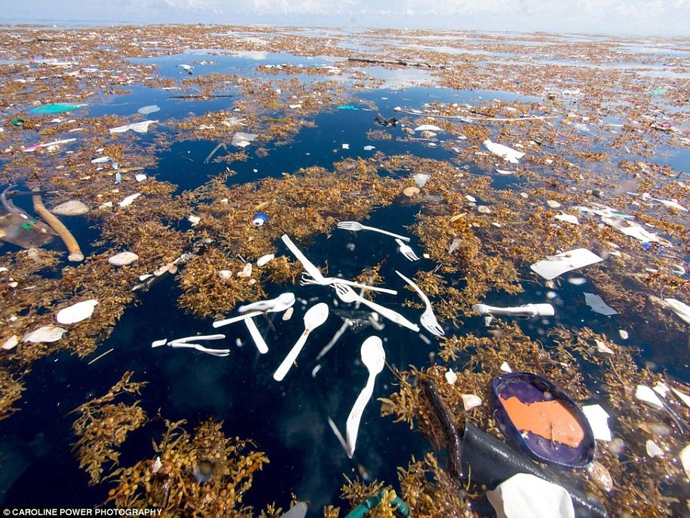 Cảnh tỉnh thực sự: Những bức hình cho thấy rác nhựa đang nuốt chửng đại dương - Ảnh 2.
