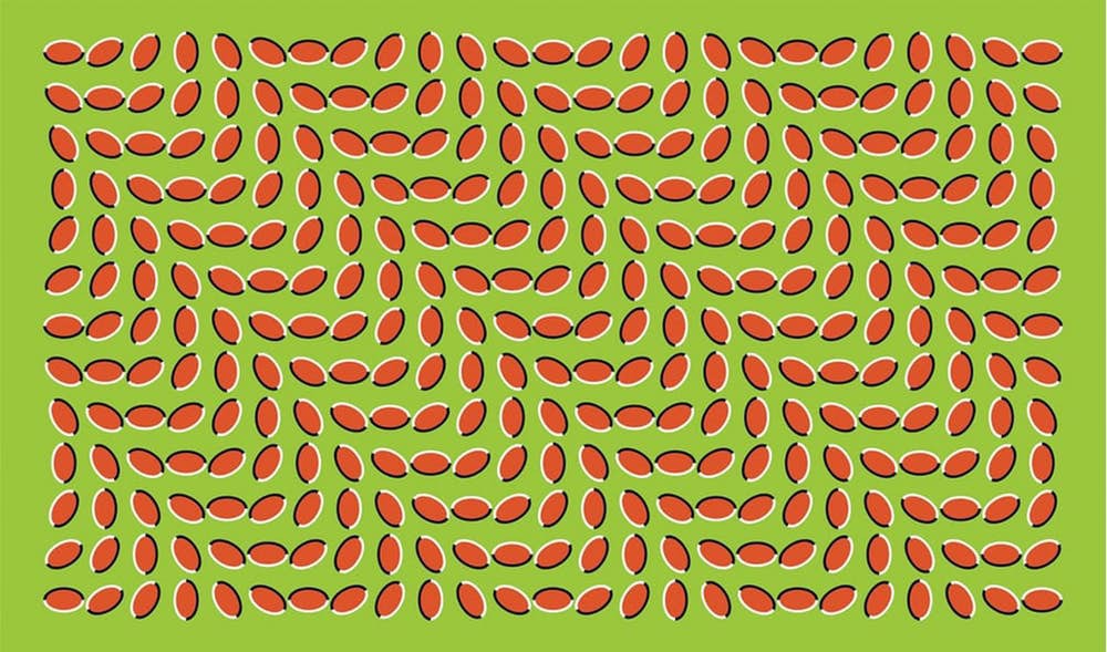 10 ảo ảnh thị giác vi diệu này sẽ thôi miên trí não bạn như thể ma thuật vậy - Ảnh 1.