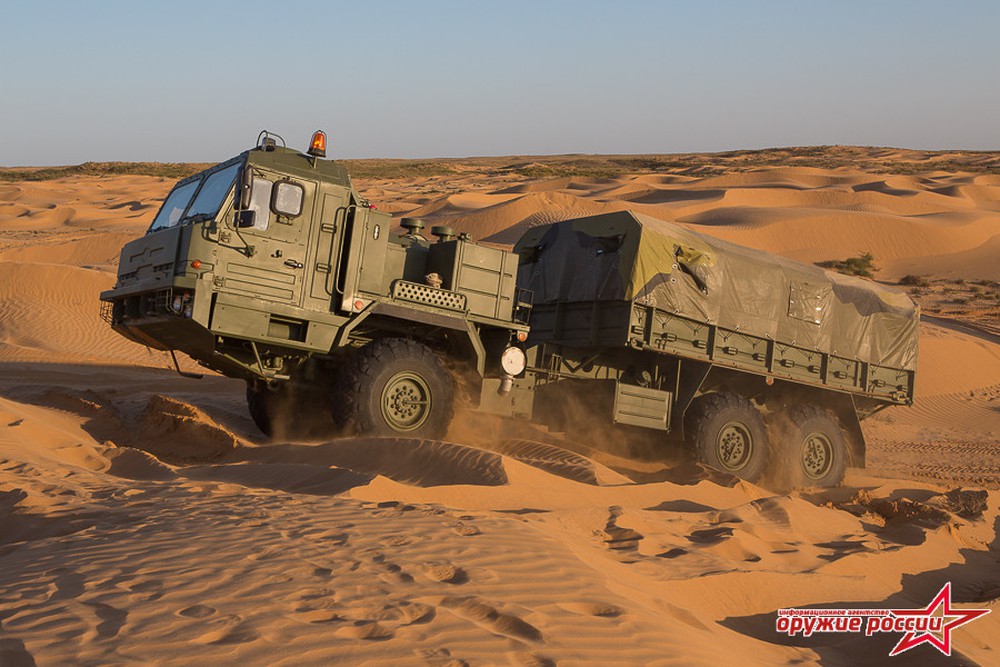 Xe quân sự Nga bị tra tấn khủng khiếp: Ào ạt xông lên trong sa mạc - Ảnh 10.
