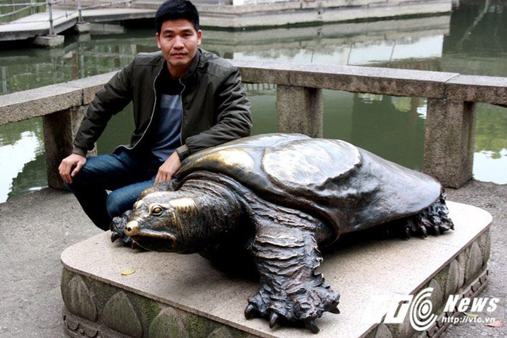 Ngỡ ngàng hai con ‘rùa Hồ Gươm’ khổng lồ ở Tây Viên Tự - Ảnh 2.