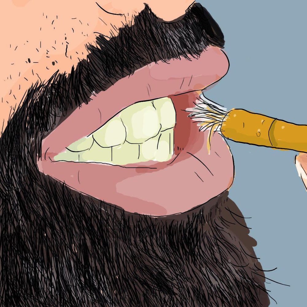 Trước khi có bàn chải đánh răng, người xưa đã làm sạch răng như thế nào? - Ảnh 3.