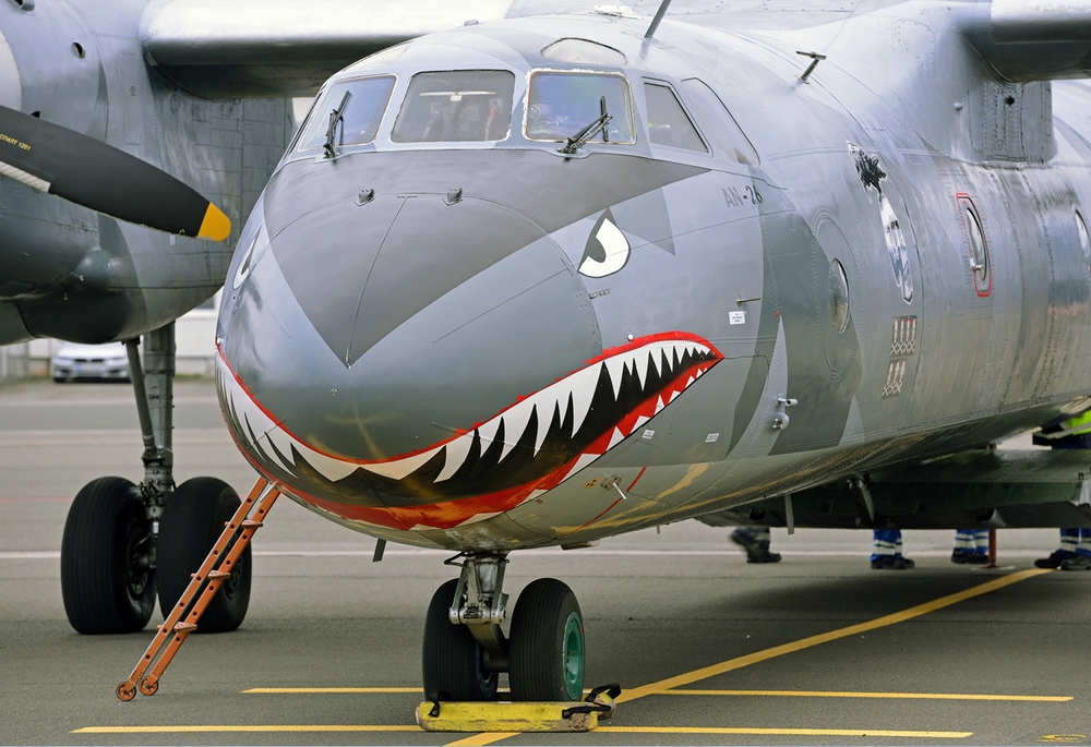 Việt Nam có nên sơn Hàm cá mập cho An-26 như chiếc máy bay này? - Ảnh 4.