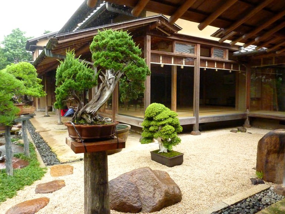 Bậc thầy bonsai Nhật và bí mật của vườn cảnh trăm tuổi được đại gia thế giới ước thèm - Ảnh 10.