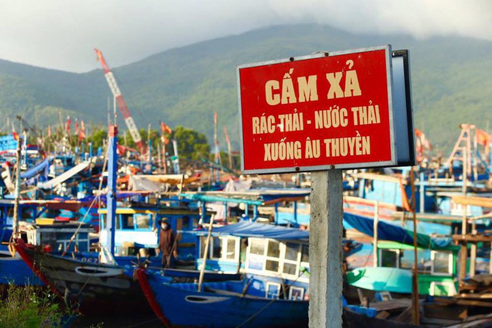 Cảng cá lớn nhất miền Trung nước đen ngòm, bốc mùi hôi thối - Ảnh 5.