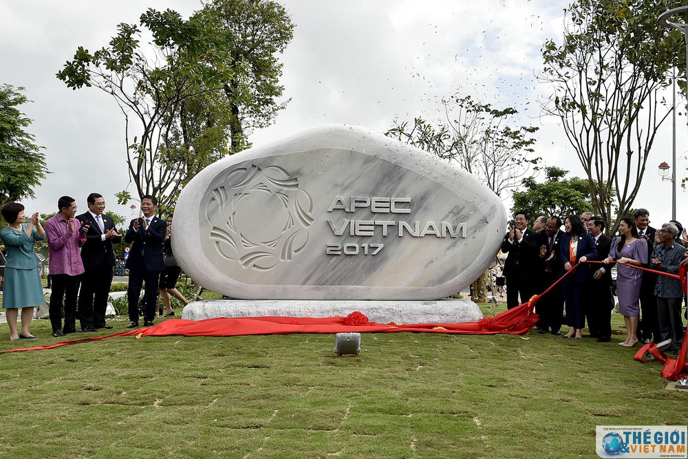 20 năm tham gia APEC: Từ tầm nhìn chiến lược đến những dấu ấn Việt Nam - Ảnh 2.