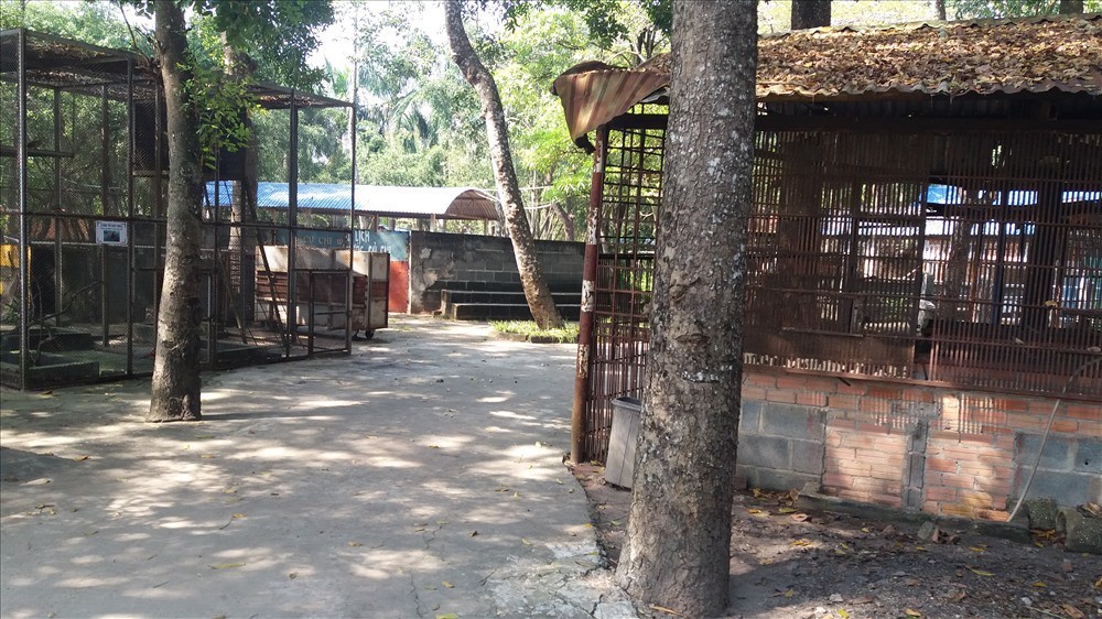 Cận cảnh thú nuôi bị coi là ngược đãi tại vườn thú Công viên nước Củ Chi - Ảnh 2.