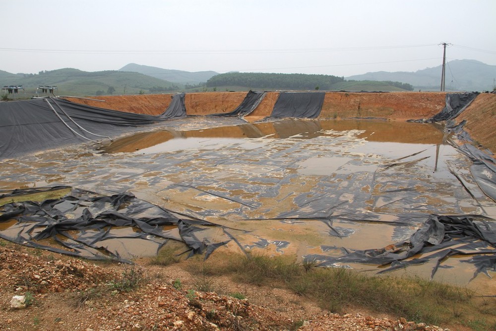 Cảnh tan hoang tại siêu dự án nuôi bò ở Hà Tĩnh được BIDV cho vay nghìn tỷ - Ảnh 16.