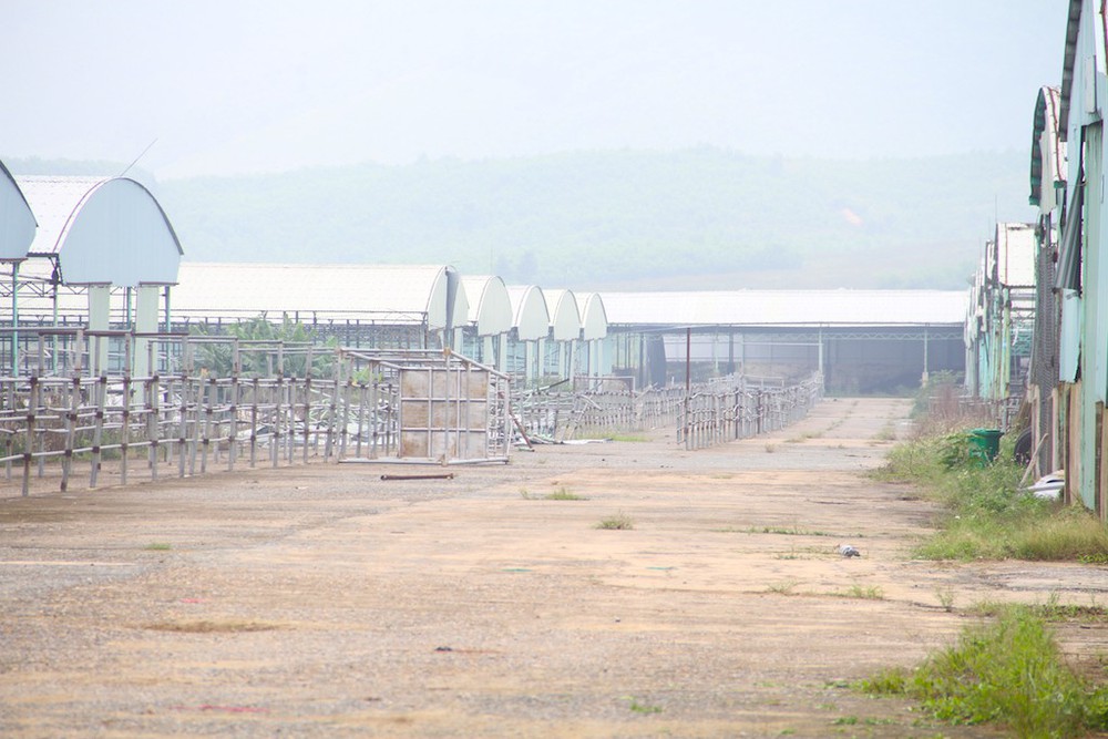 Cảnh tan hoang tại siêu dự án nuôi bò ở Hà Tĩnh được BIDV cho vay nghìn tỷ - Ảnh 19.