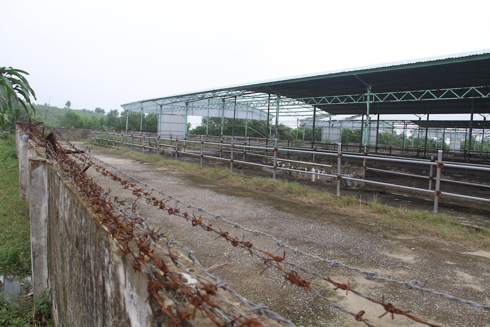 Cảnh tan hoang tại siêu dự án nuôi bò ở Hà Tĩnh được BIDV cho vay nghìn tỷ - Ảnh 9.