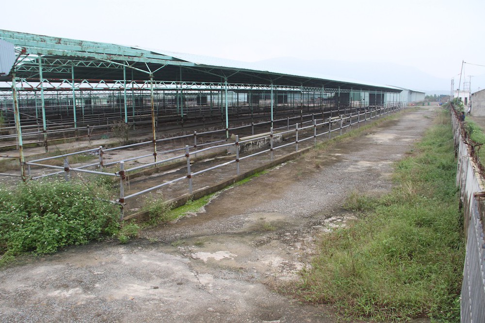 Cảnh tan hoang tại siêu dự án nuôi bò ở Hà Tĩnh được BIDV cho vay nghìn tỷ - Ảnh 13.