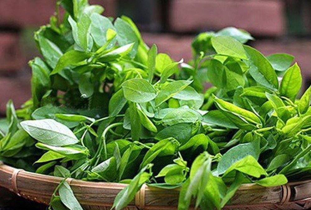 Lương y mách 3 loại hạt, 2 loại rau rẻ tiền giúp tăng cường sinh lý chả kém gì Viagra - Ảnh 1.