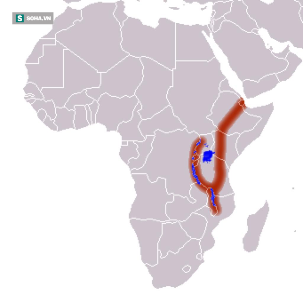 Châu Phi đối mặt nguy cơ vỡ làm đôi: Vết nứt dài hàng nghìn mét là bằng chứng - Ảnh 4.