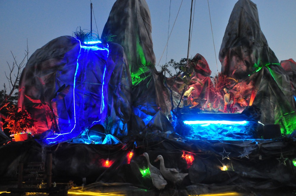 Lạ mắt hang đá đêm Noel được trang trí bể cá, với cá sấu hỏa tiễn 12kg ở Nam Định - Ảnh 27.