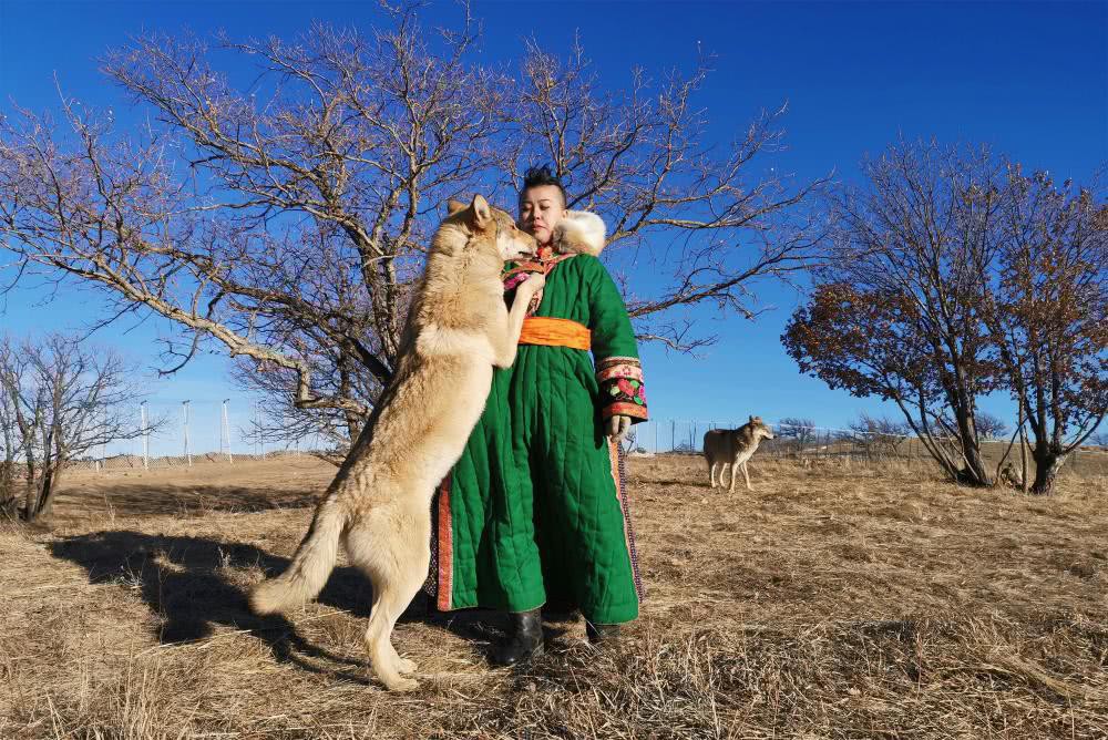 Cô gái Mông Cổ với dàn thú cưng độc 8 con sói, 3 bạn trai đều đòi chia tay vì sợ cãi nàng sẽ bị ăn thịt - Ảnh 4.