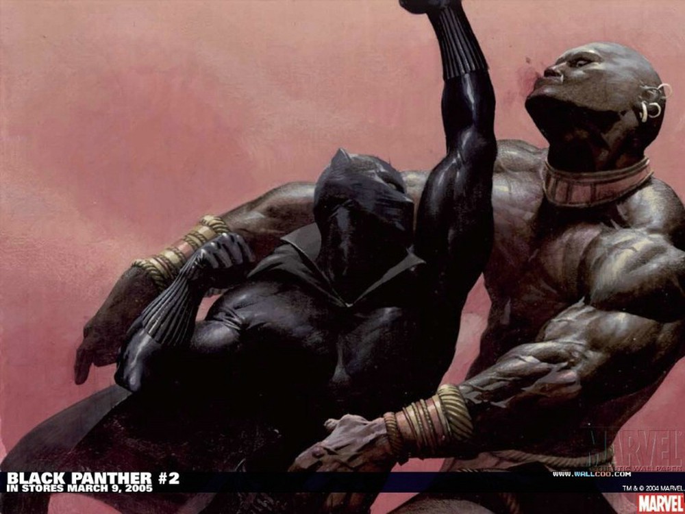 Ai cũng đang bàn tán về Black Panther, vậy chính xác siêu anh hùng đó là ai? - Ảnh 6.