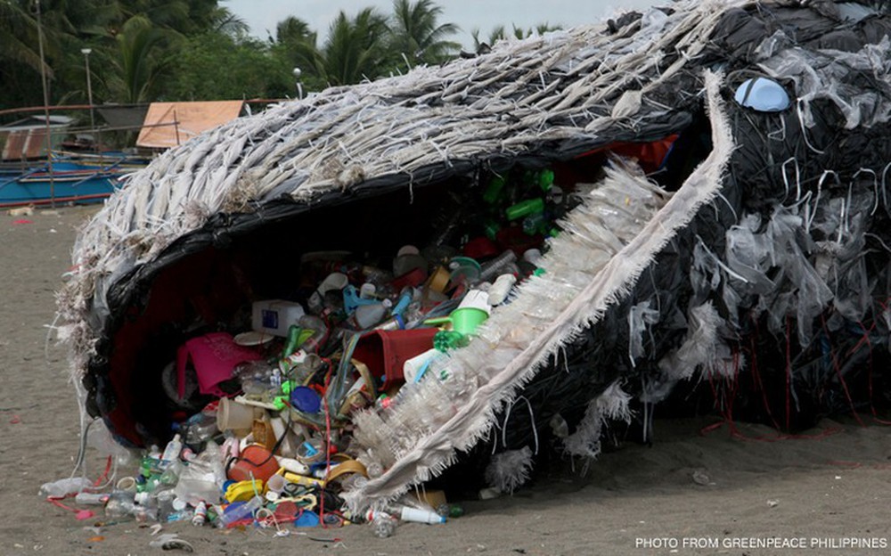 Bi kịch dưới đại dương: Cá voi đang ăn hàng trăm, hàng ngàn mảnh rác nhựa mỗi ngày - Ảnh 2.