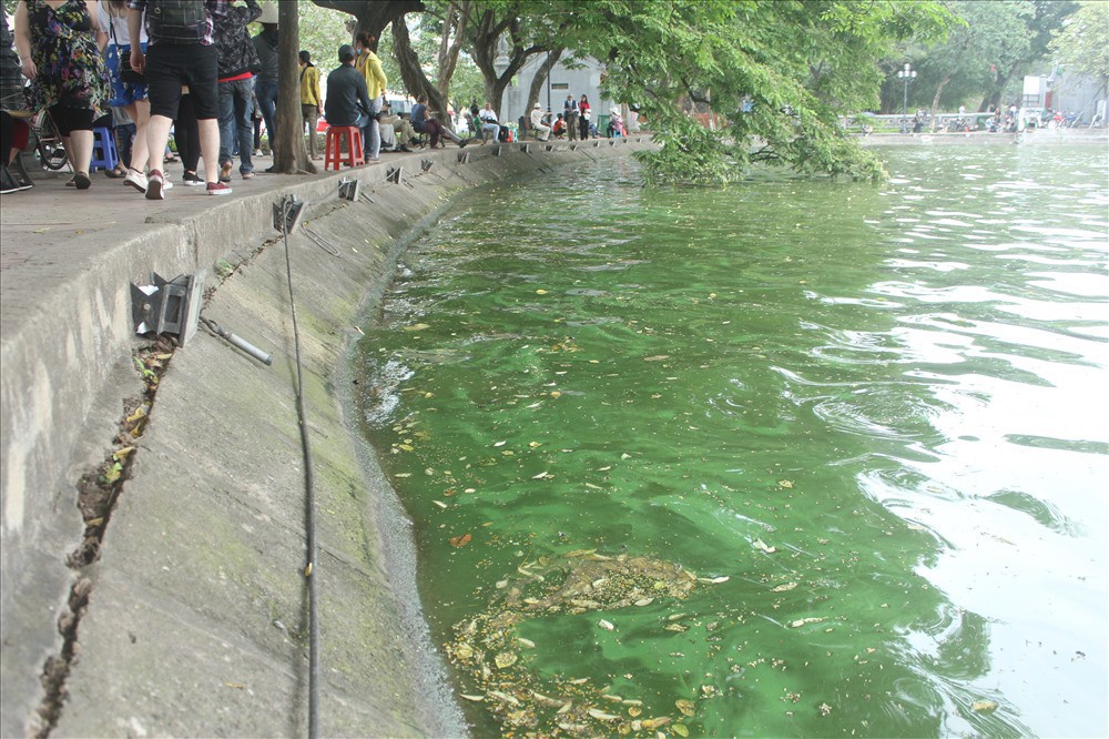 Hé lộ nguyên nhân xuất hiện “váng nước xanh bất thường” ở Hồ Gươm