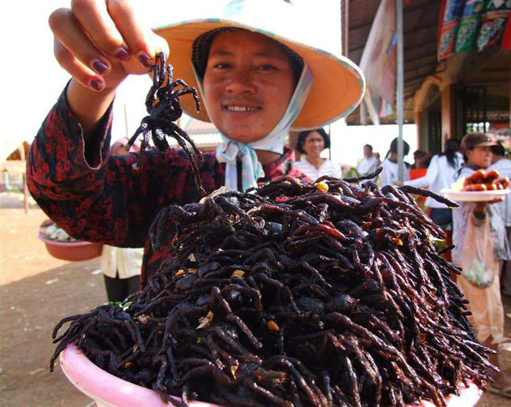 Rết rán Thanh Đảo, mọt cọ Châu Phi hay nhện chiên Campuchia - những món ăn nhìn thì phát sợ nhưng vẫn thành đặc sản của nhiều địa phương - Ảnh 5.