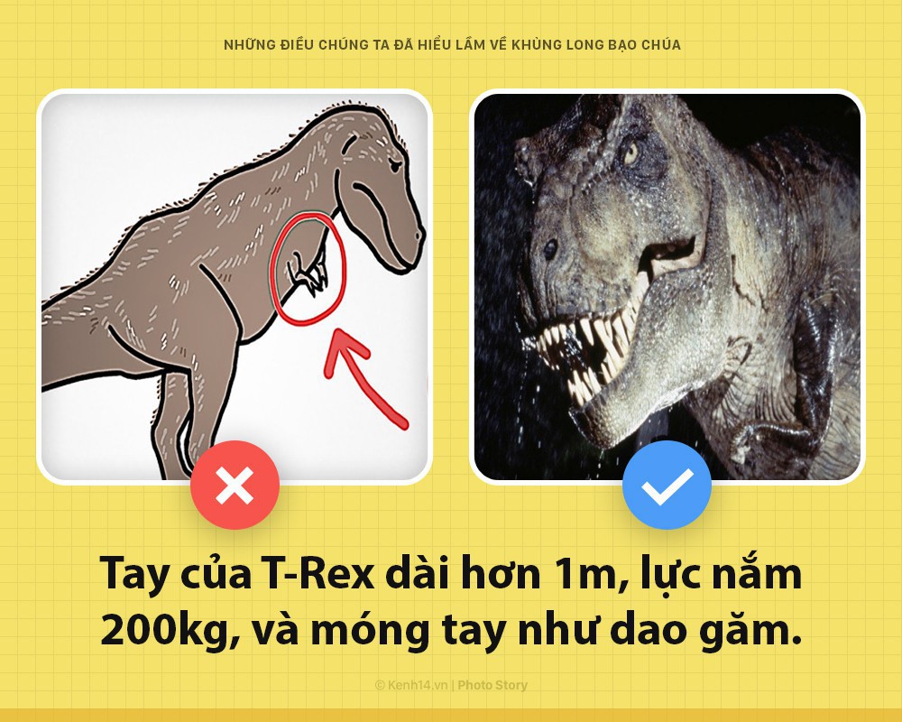 Hey! Là T-Rex bạo chúa của Jurassic World đây và các ông đã nhầm về tôi hết rồi - Ảnh 2.