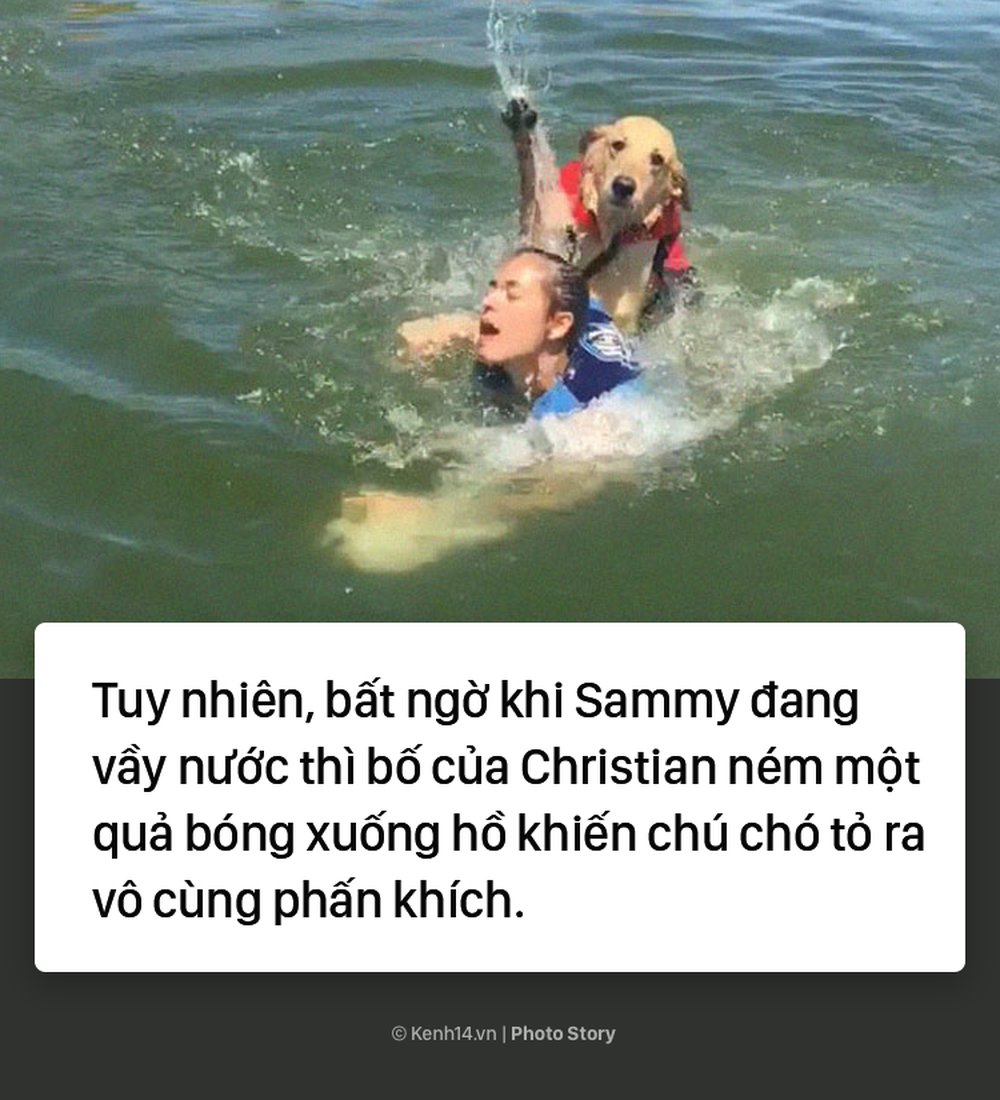 Dắt cún cưng đi bơi, cô gái trẻ suýt bị chính con boss của mình dìm chết - Ảnh 4.