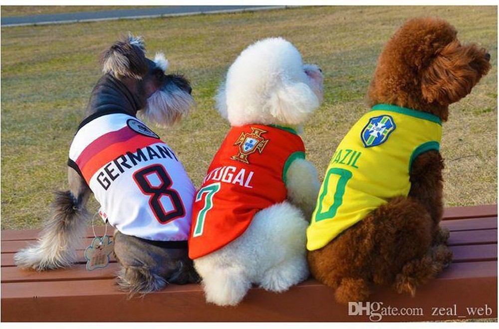 Sốt xình xịch trào lưu mặc trang phục World Cup cho cún cưng - Ảnh 11.