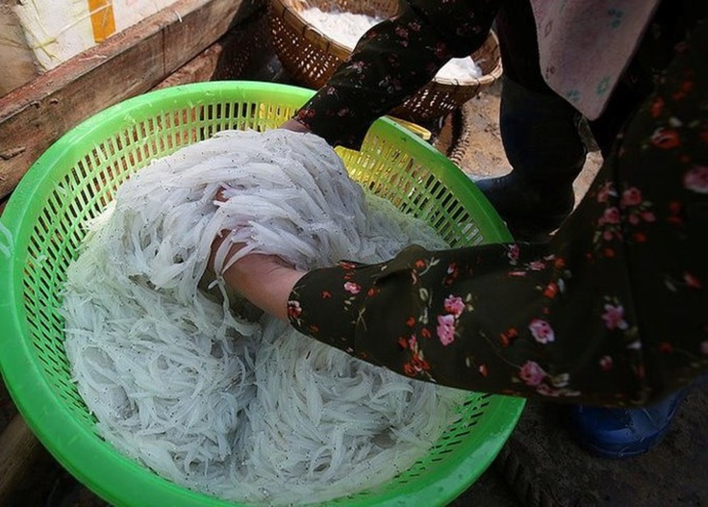 Cá ngần sông Đà giá 300.000 đồng/kg gây “sốt” thị trường - Ảnh 2.