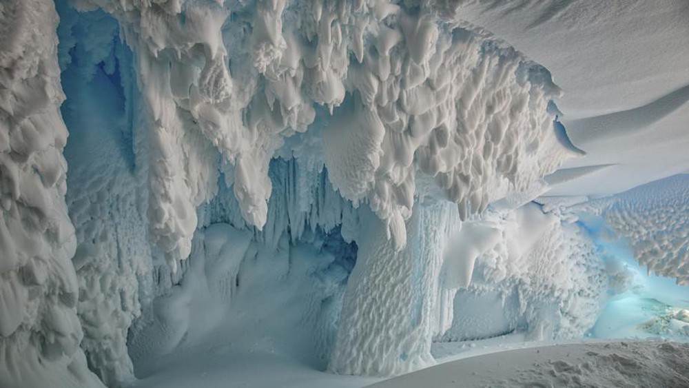 Thám hiểm hang băng ở độ cao gần 4000m: Phát hiện sinh vật lạ, khoa học chưa từng biết - Ảnh 7.