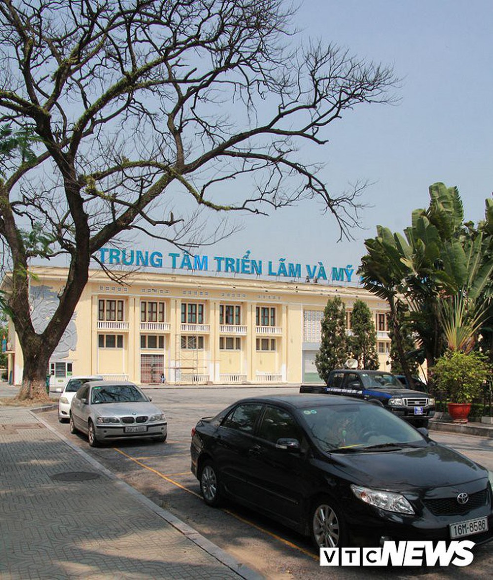 Ảnh: Cận cảnh những cây muồng trăm tuổi bỗng dưng chết khô bên tượng đài Nữ tướng Lê Chân ở Hải Phòng - Ảnh 8.
